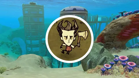 中国冰壶混双在亚冬会大放异彩，新征程再踏征程